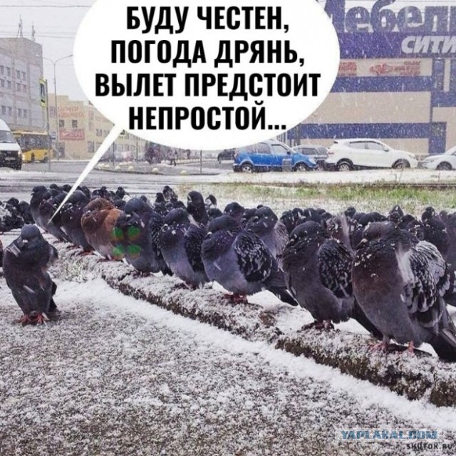 Вы попали на тайное заседание глав теневого правительства