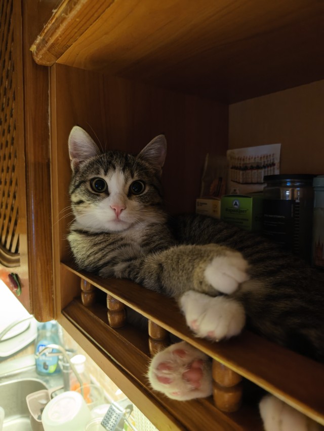 К-котовторник
