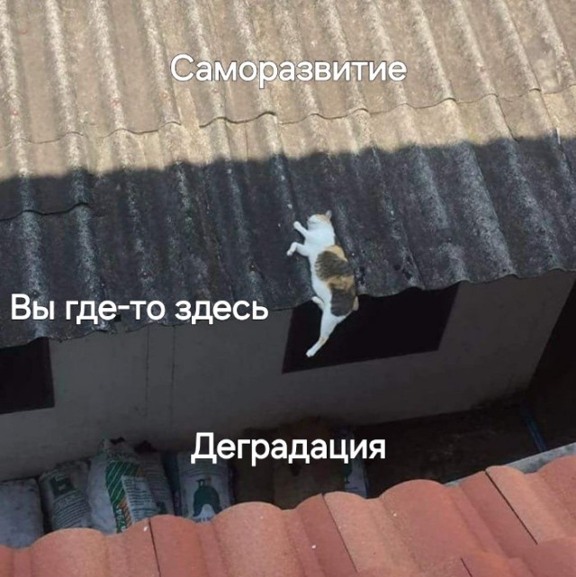 Картинки для деградации 303 (разной степени свежести)