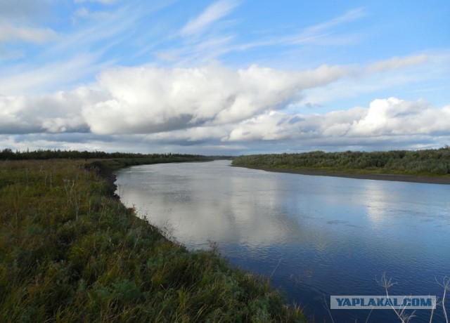 Рыбалка на Приполярном Урале