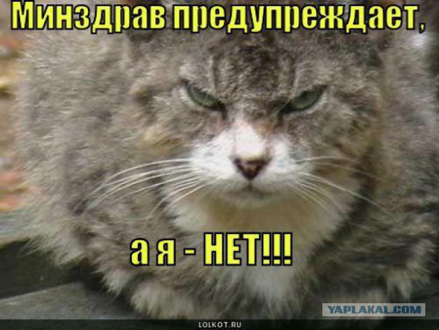 Кот управляет её примитивным разумом