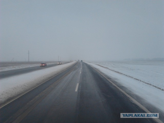 Где яблоки растут!