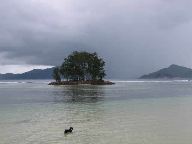 Как я съездил на Сейшелы