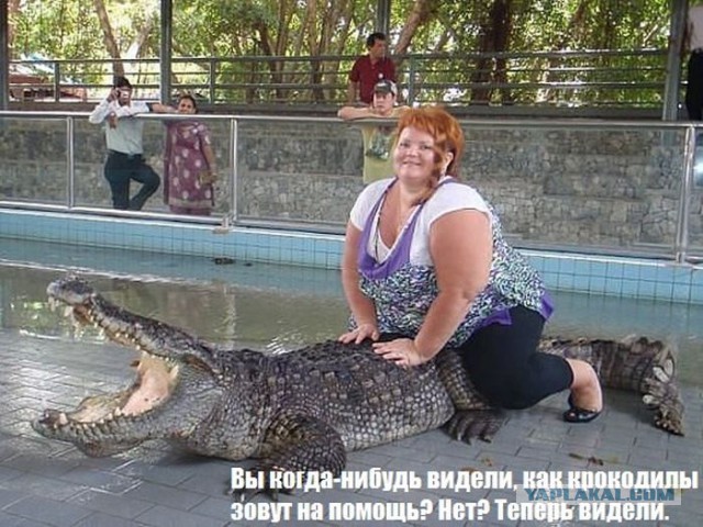 Веселые картинки.