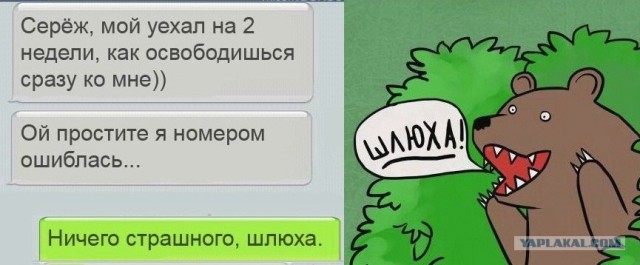 Новые "комментарии из соцсетей"