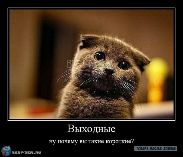 Чёрт, чёрт, чёрт!