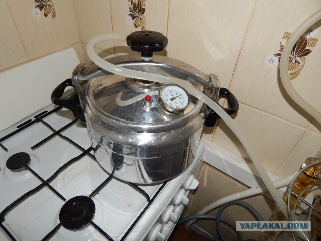 Гоним