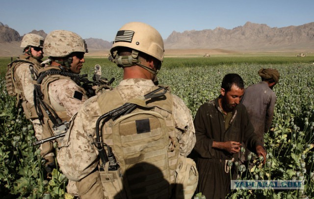 Афганистан и его соседи после ухода США