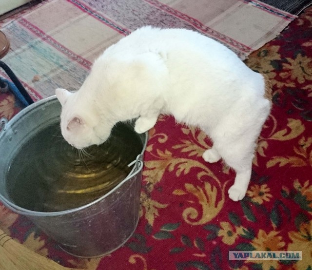 Встретил на площадке