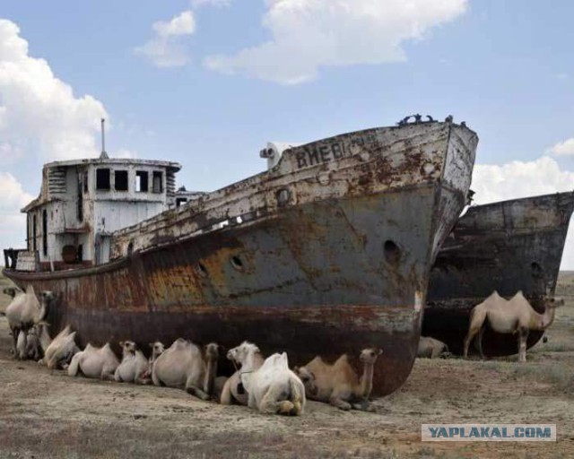 Умирающие корабли