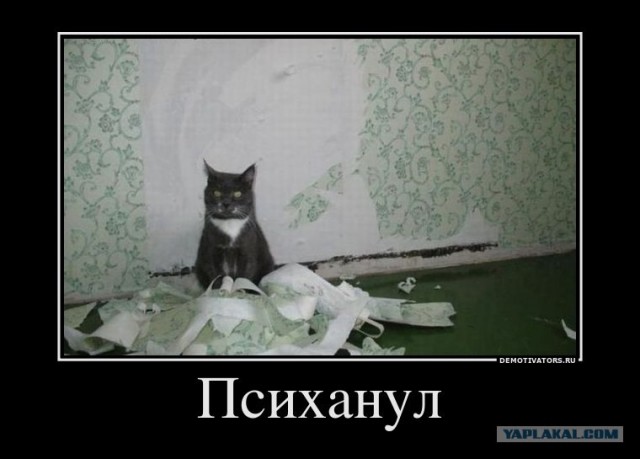 Прозрение пришло