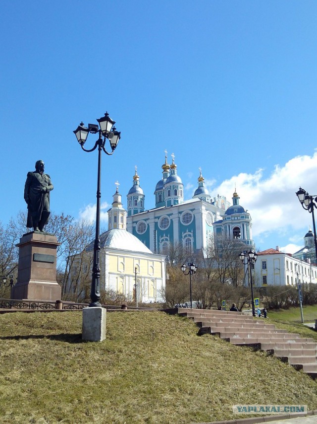 Миграция московского планктона