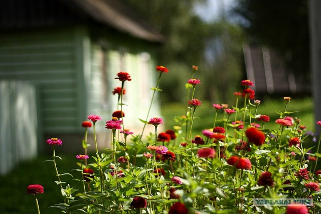 Небольшая дверь в Лето!