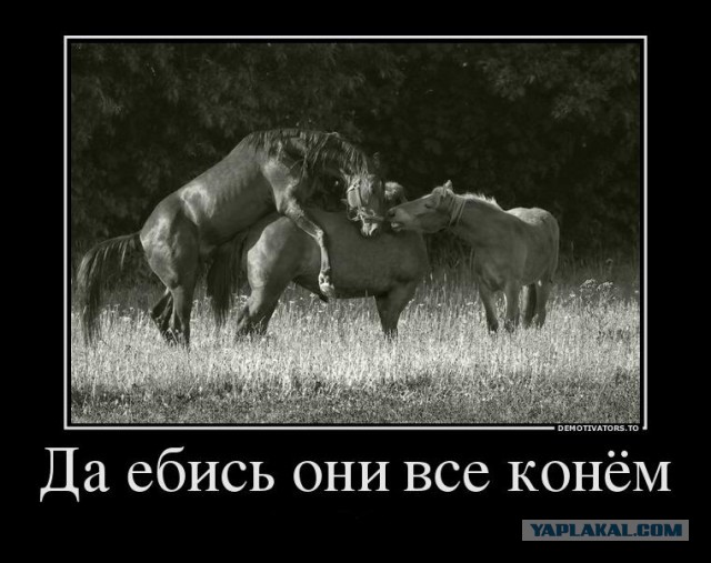 Фото с Кириллом на яхте оказалось фейком.