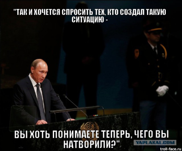 - Вова, что я наделала?