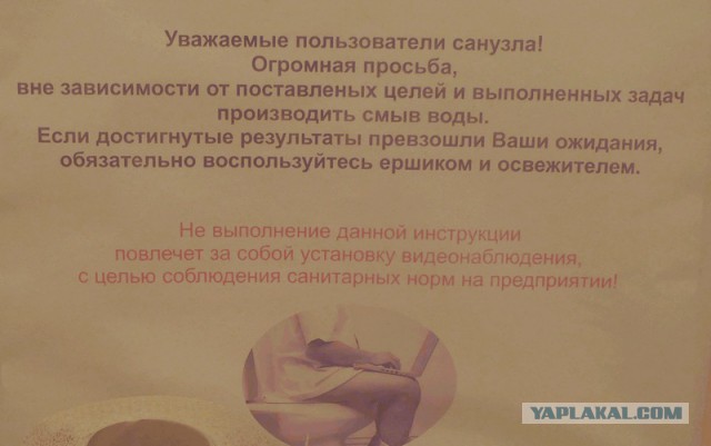 Зловещее существо вылезло из унитаза