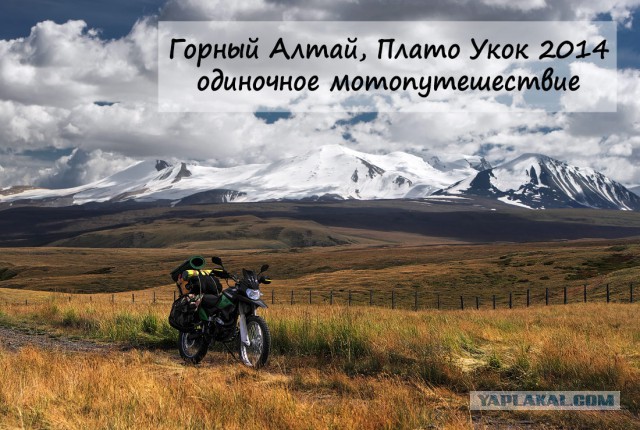 Путешествие по Алтаю в мае 2014 года