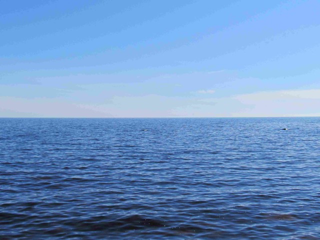 Я узнал, что у меня есть огромная семья