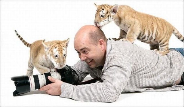 Демы к котовторнику!