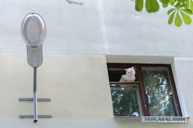 Не цвет нации: кто и как живет в притонах