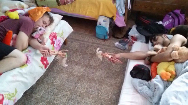 Ужасы и приколы из соцсетей 18+