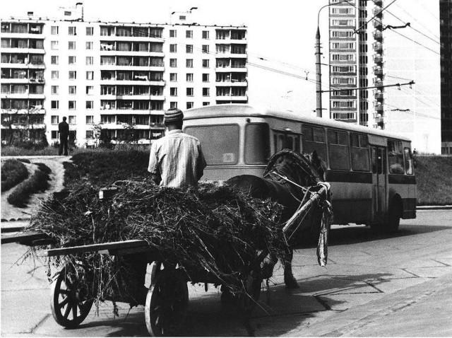 Ностальгия москвича