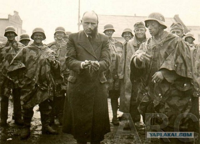 1941 год глазами немцев