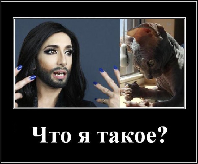 Забыть, развидеть, не смеяться... Мужская мода 70-х