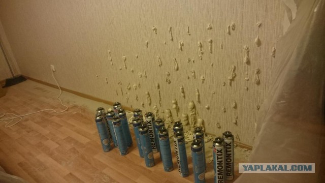 Привет, сосед!