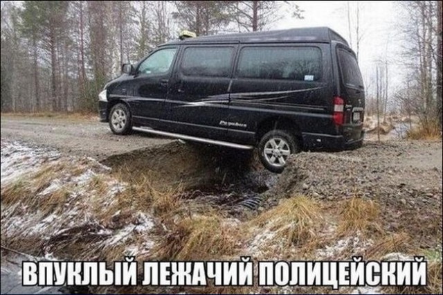 Прикольные картинки