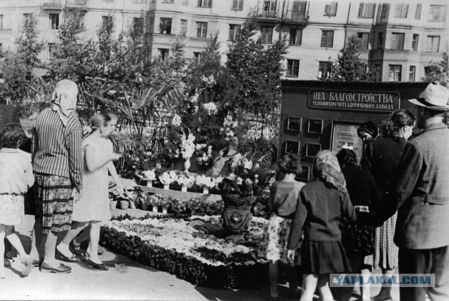 Челябинская область в 1951-1952 годах