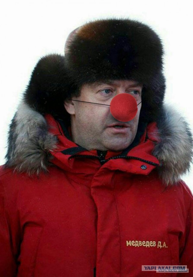Мишка на Севере