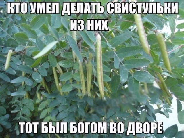 Смешные и не очень картинки из этих ваших интернетов