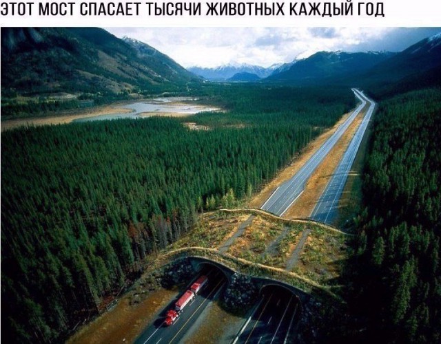 Подборка интересных и веселых картинок