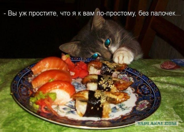 Временный пост. Всякое-разное