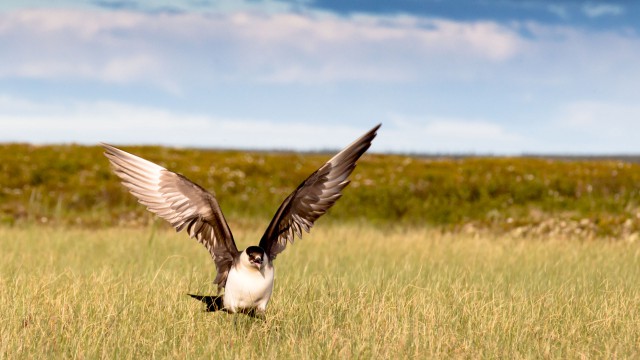 Просто Природа