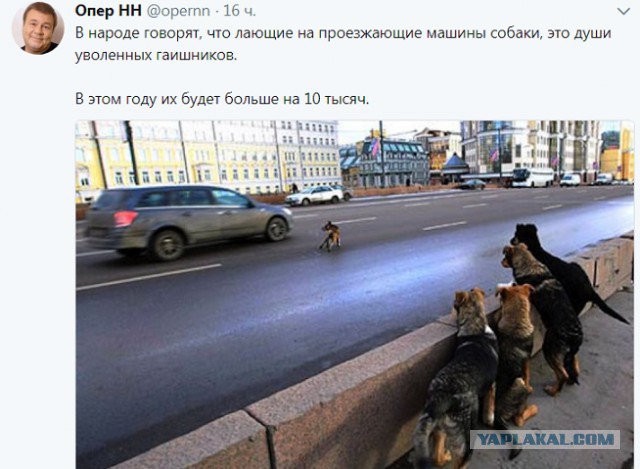 Тупик эволюции