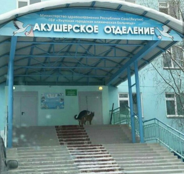 Порция нестандартных непонятных картинок