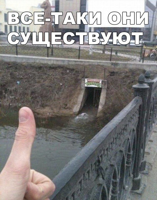 Прикольные картинки обо всём