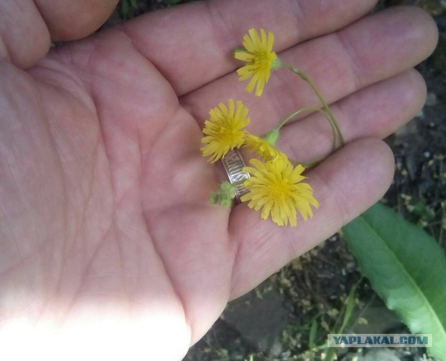 Запросы девушек за 30 нереальны