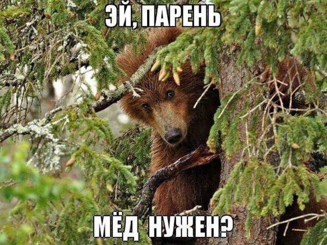 Картинки по-приколу