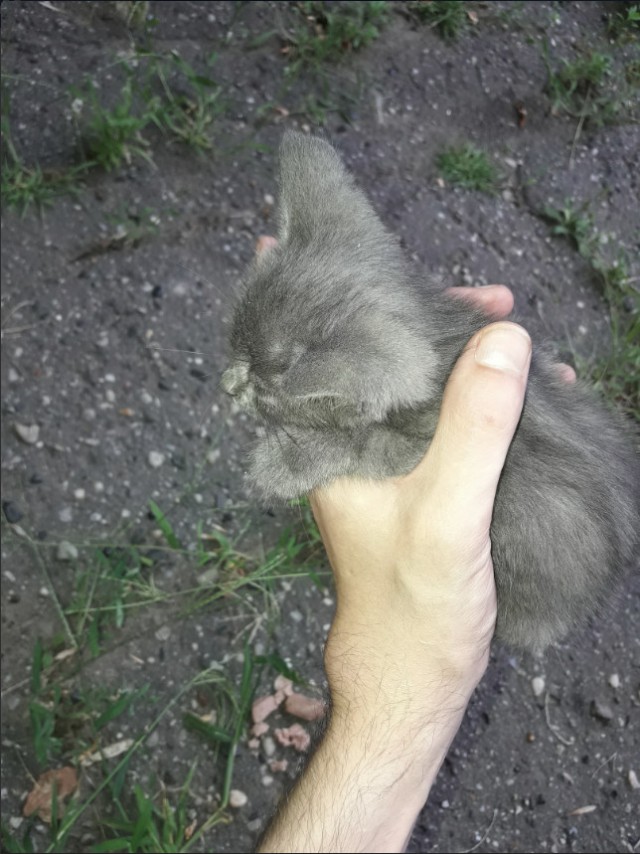 Немного милоты