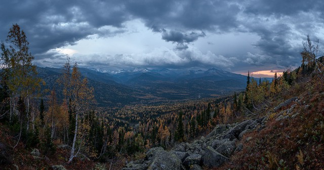 Осенняя тайга