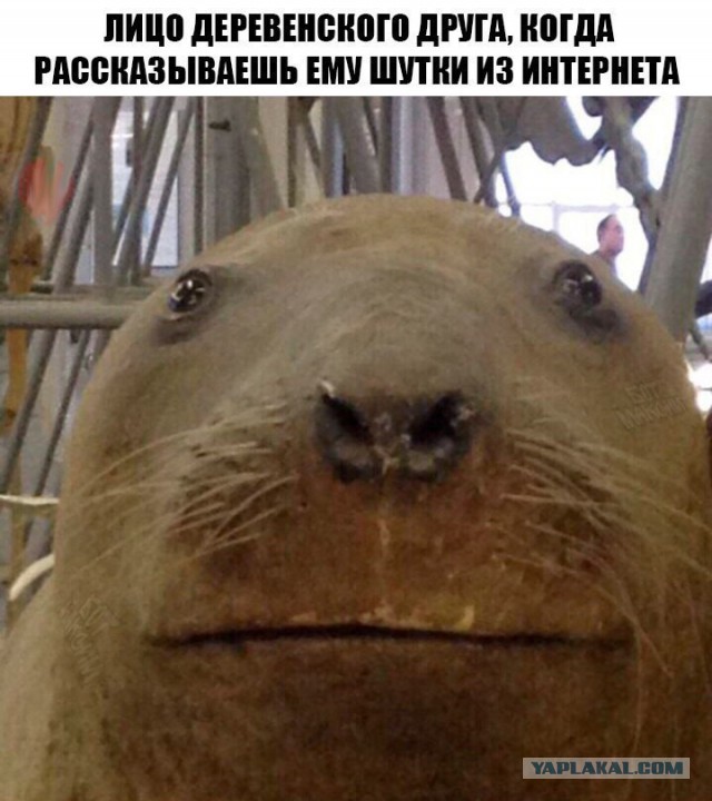 Немного картинок на вечер