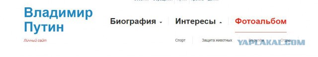 В Cеть попали списки членов правительства, губернаторов и депутатов, которые имеют второе гражданство