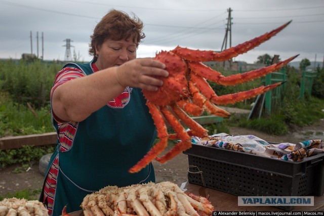 Муж пошел за пивом и вернулся с кульком живых раков...