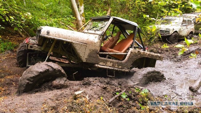 Автошоу Los Angeles 2019, part 1