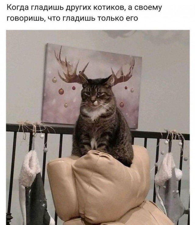 Немного картинок для настроения 18.12.19