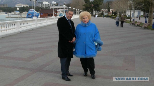 Неизвестные напали на подмосковный дом замгубернатора