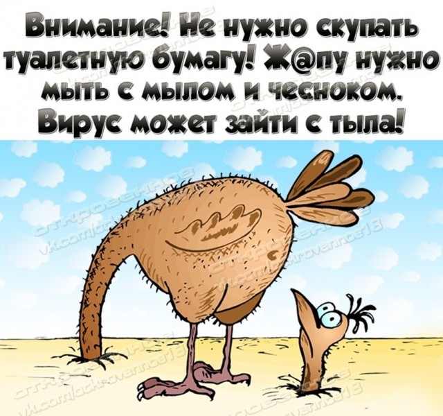 Немного картинок для настроения 29.03.20